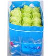 Rosa col wasabi 40 - RCWAS