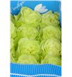 Rosa col wasabi 40 - RCWAS1