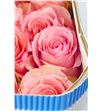 Rosa col saga 50 - RESAG2