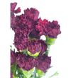 Clavel standar granate - CLACOLGRA1