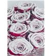 Rosa red naomi nieve blanca 70 - RGRREDNAONIE1
