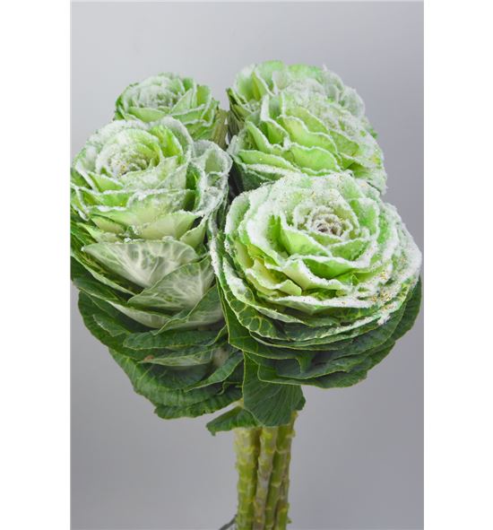 Brassica nieve verde x5 - BRANIEVER