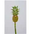 Ananas baby green 50 - ANABABGRE