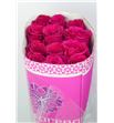 Rosa col queenberry 40 - RCQUE