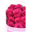 Rosa col queenberry 40 - RCQUE1