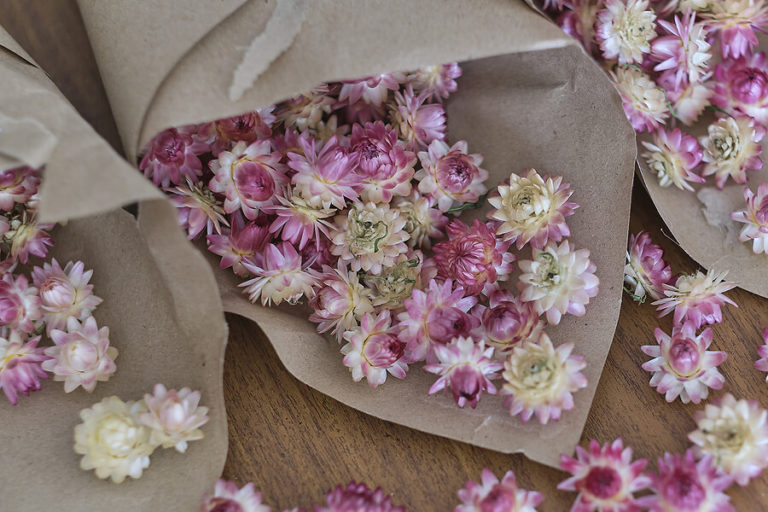 Comprar flores preservadas, qué necesitas saber Bruflor Comprar flores preservadas, qué necesitas saber Bruflor