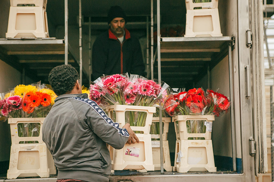 Hombre cargando un camión con una caja de flores cortadas